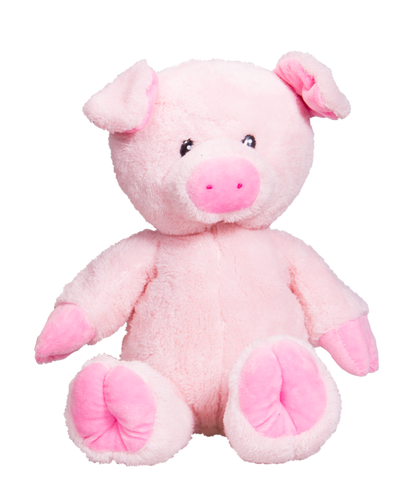 June 28 | Crafting with Dot & Blaze the Pigs