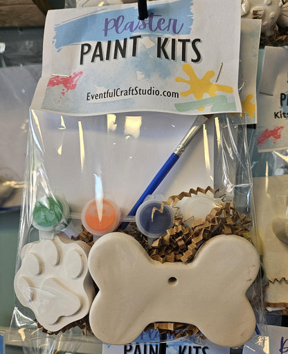 3D Sea life or Dinosaur paint kits