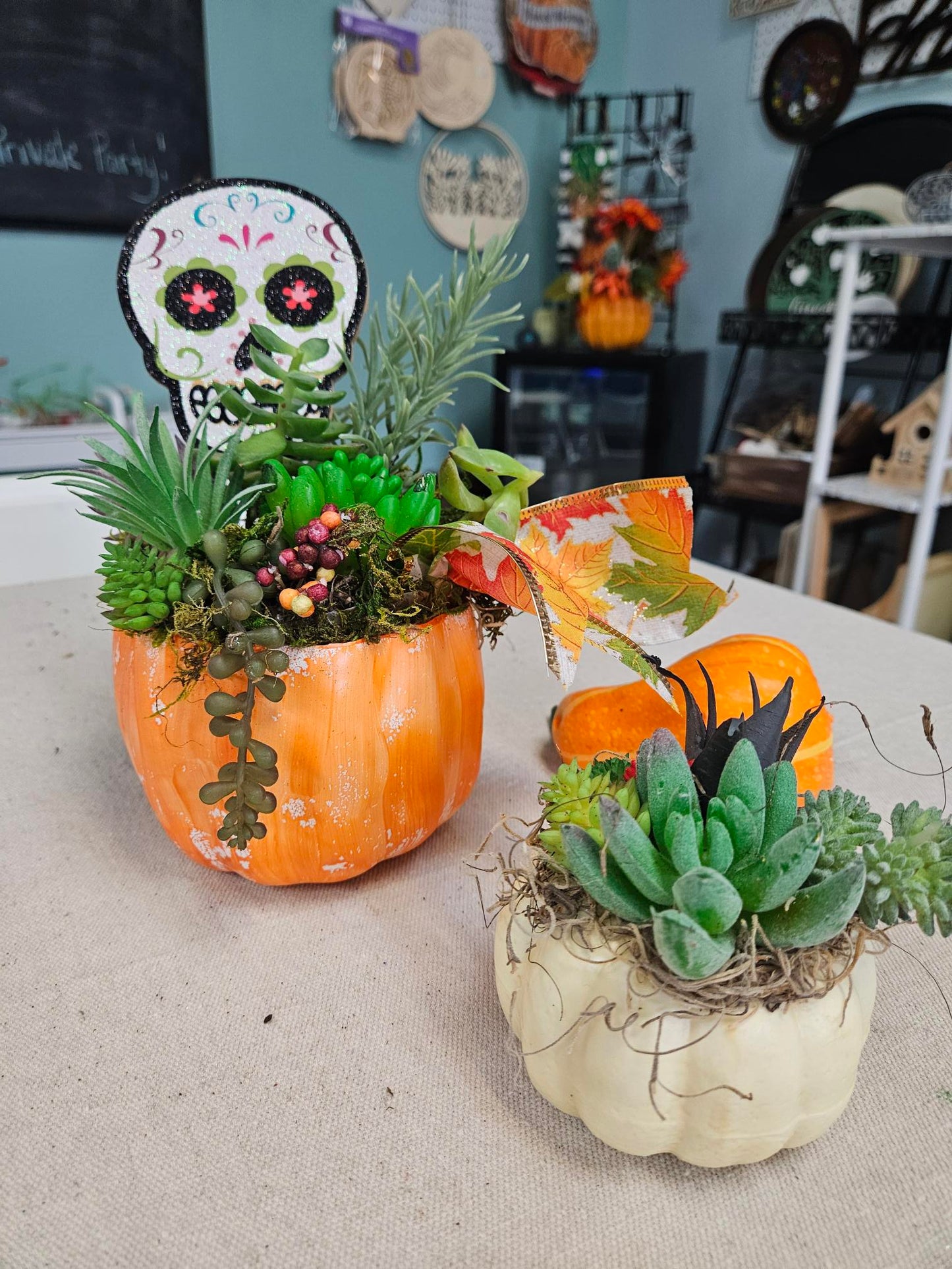 Sept. 20th | Pumpkin Succulent decoration