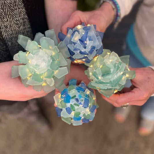 Sea Glass Succulent Workshop