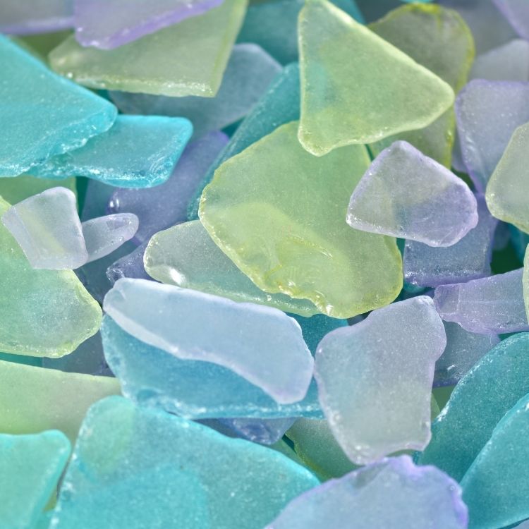 Sea Glass Succulent Workshop